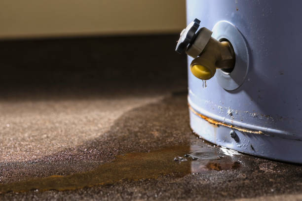 Best Residential water damage restoration  in Mishicot, WI