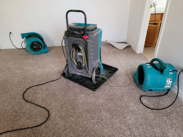 Best Emergency water damage restoration  in Mishicot, WI