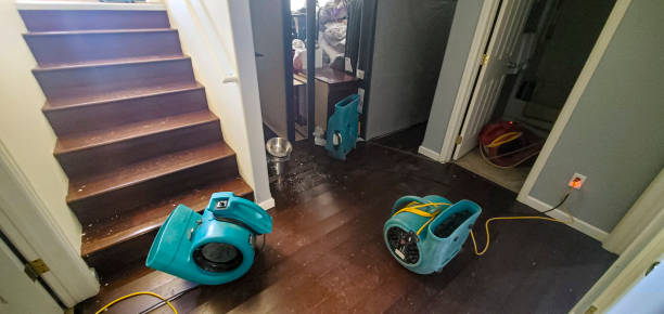 Water damage restoration experts in Mishicot, WI
