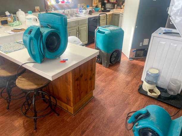 Best 24/7 water damage repair  in Mishicot, WI