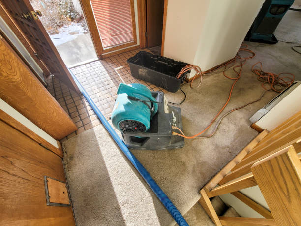 Best Carpet water damage restoration  in Mishicot, WI