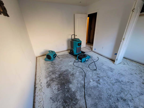 Best Water damage restoration insurance claims  in Mishicot, WI