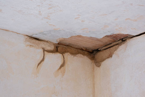 Water damage restoration insurance claims in Mishicot, WI
