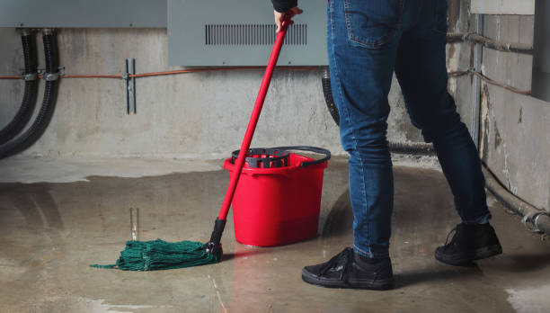 Carpet water damage restoration in Mishicot, WI