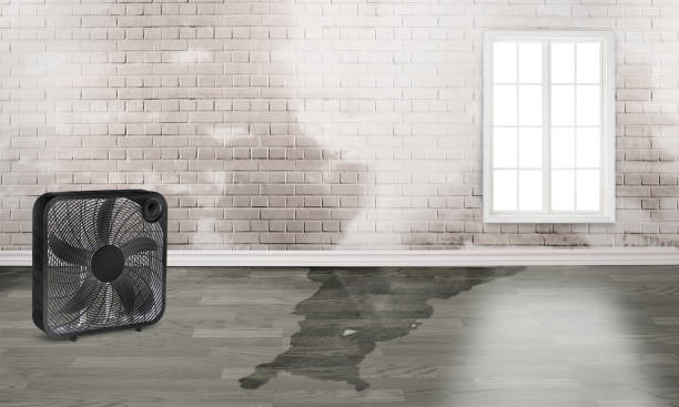 Local water damage restoration in Mishicot, WI