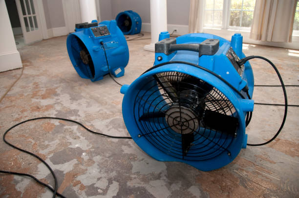 Best Sewage cleanup and water damage restoration  in Mishicot, WI