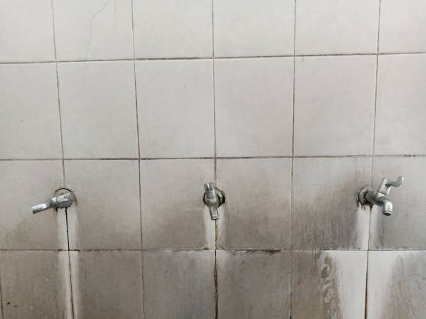 Best Residential water damage restoration  in Mishicot, WI