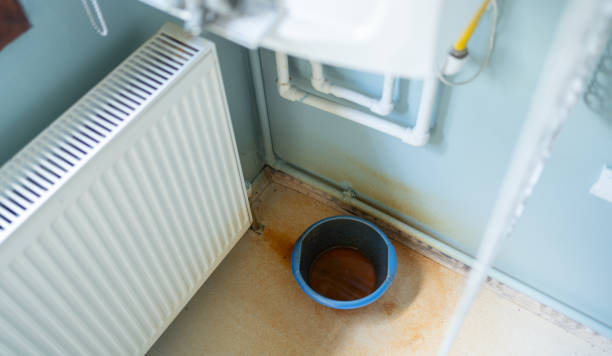 Best 24/7 water damage repair  in Mishicot, WI