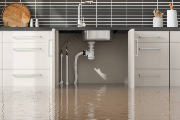 Best Mold removal after water damage  in Mishicot, WI