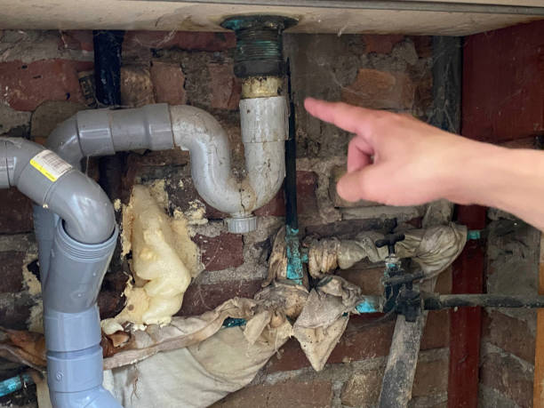 Best Basement water damage restoration  in Mishicot, WI