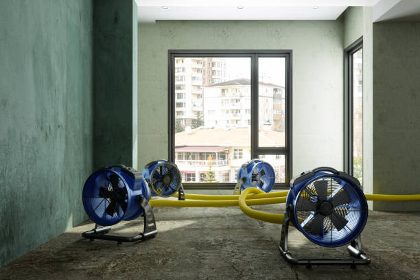 Best Water damage restoration near me  in Mishicot, WI