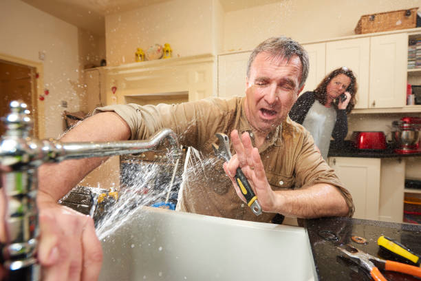 Best Flooded house restoration  in Mishicot, WI